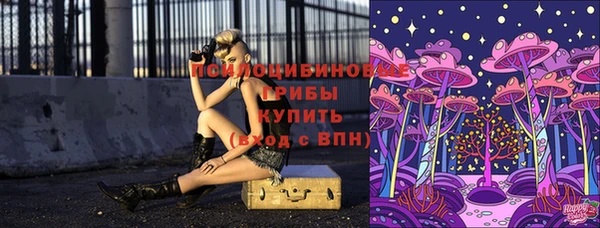 mdpv Киренск