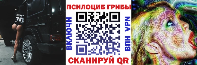 Купить Дрезна Псилоцибиновые грибы мицелий